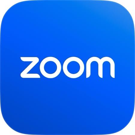 Zoom Pro Owner License 100 P 14 Days